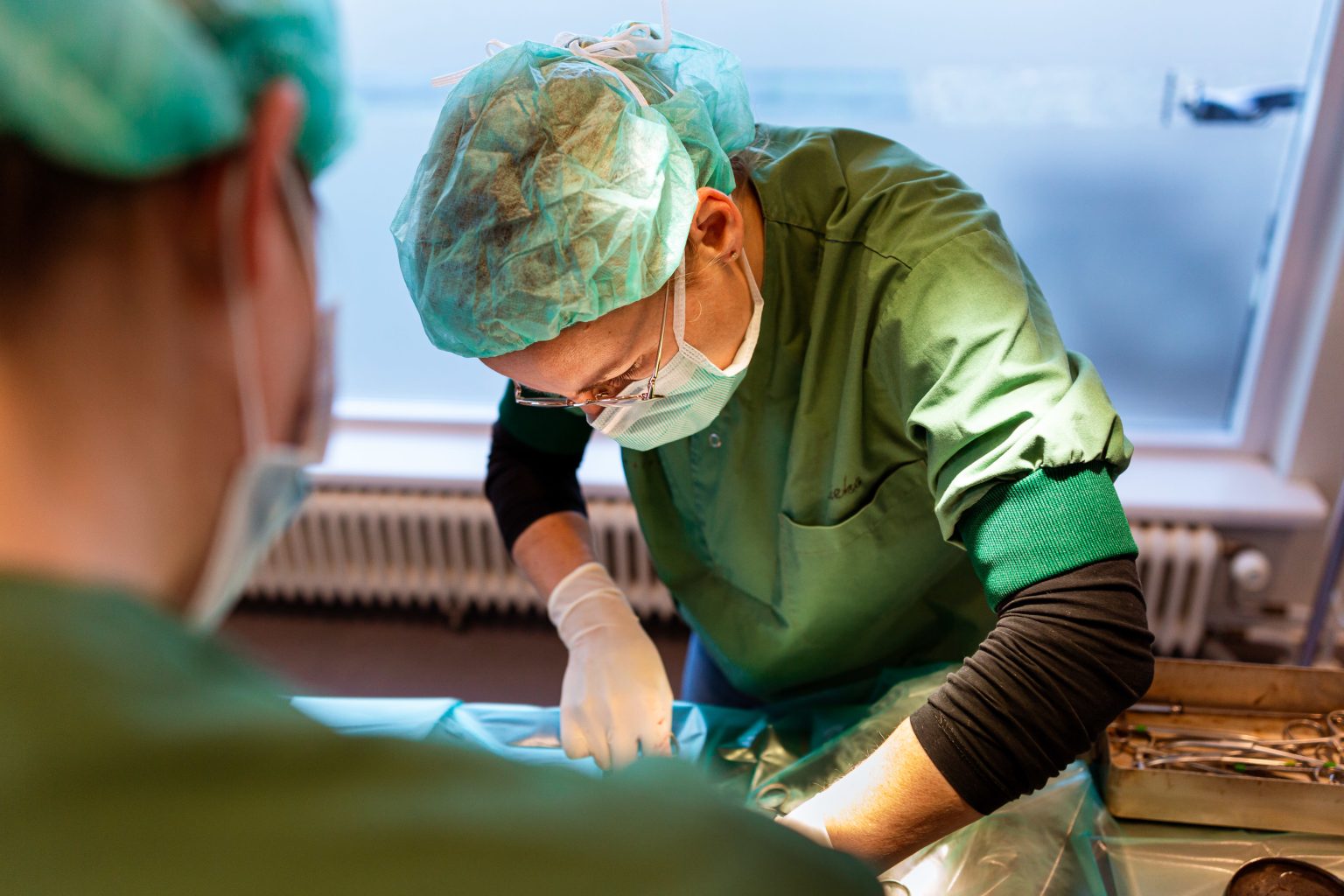 Sterilisatie en castratie hond Kwint Dierenkliniek Sterilisatie en castratie hond Kwint Dierenkliniek